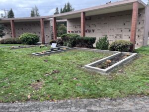 Newly built concrete garden bed retainers in a grassy lawn area.